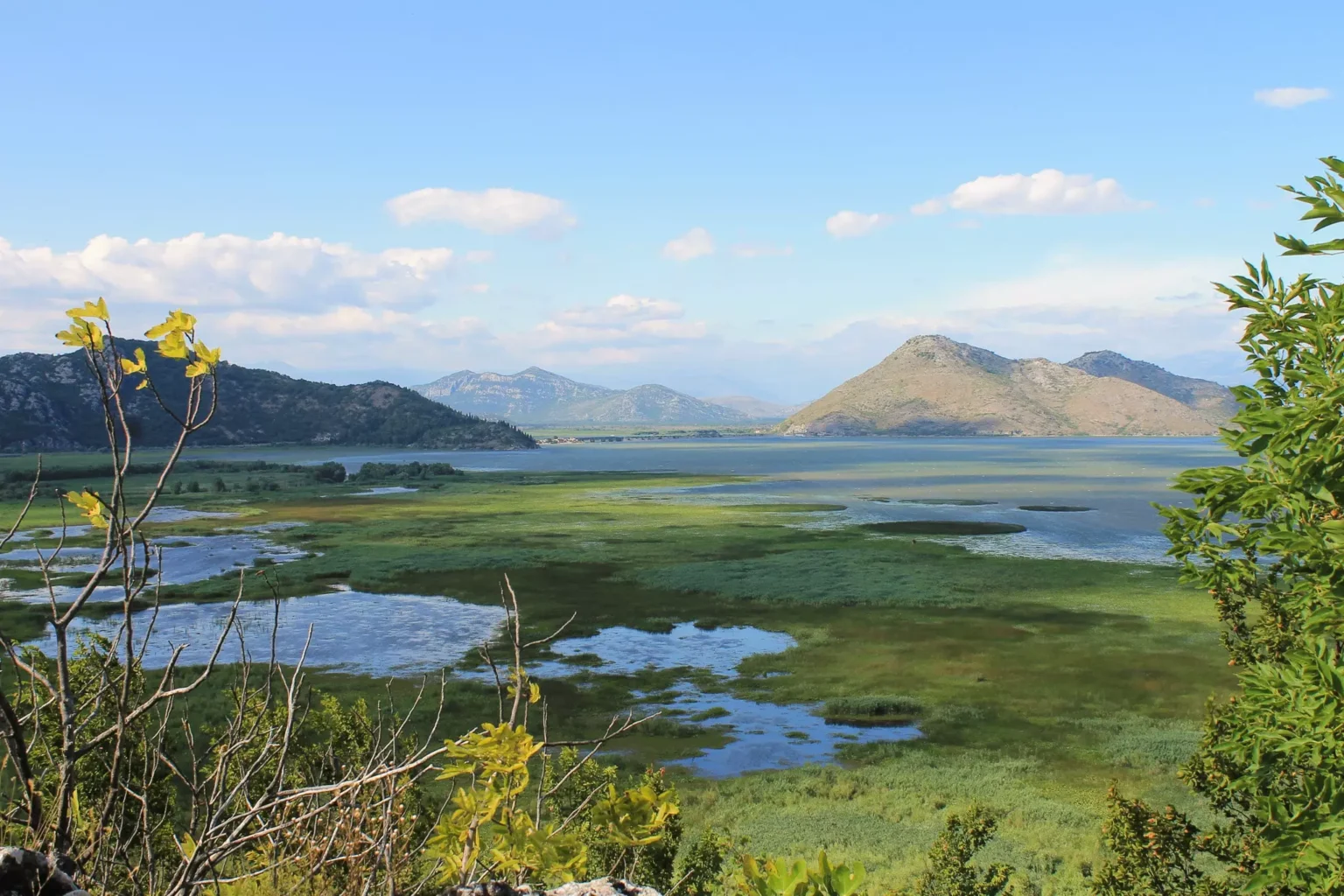 Lac Skadar Monténégro