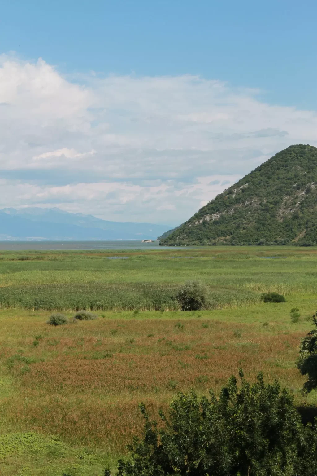 Lac Skadar Monténégro