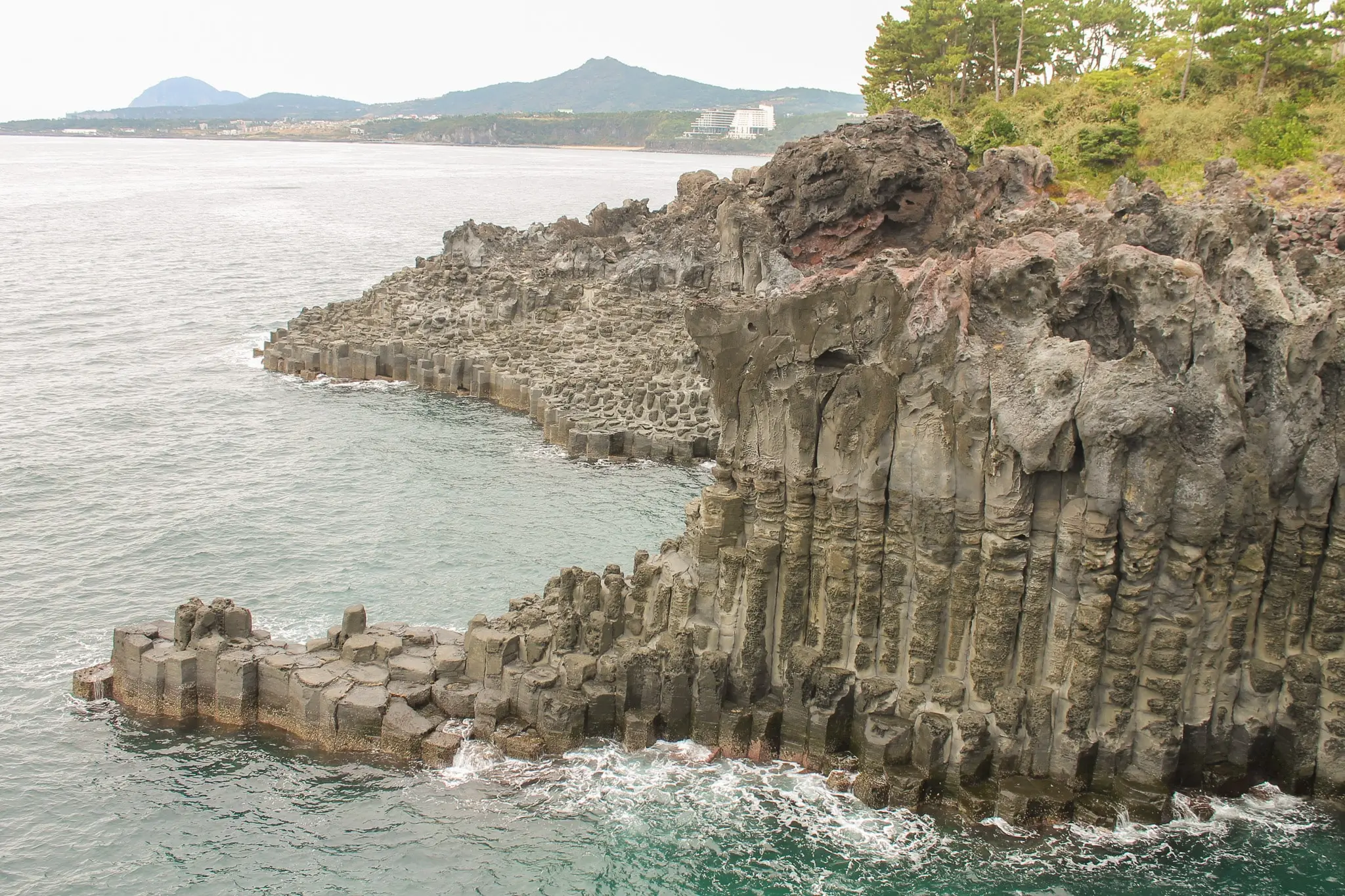 Jusangjeollidae jeju