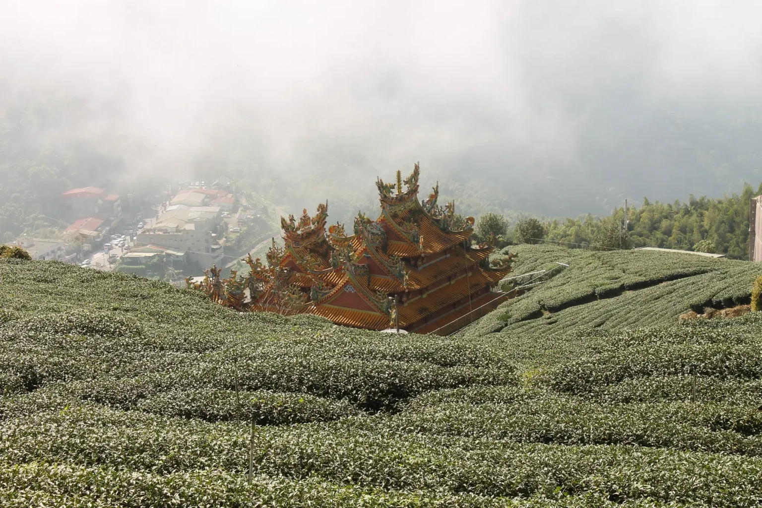 Alishan temple