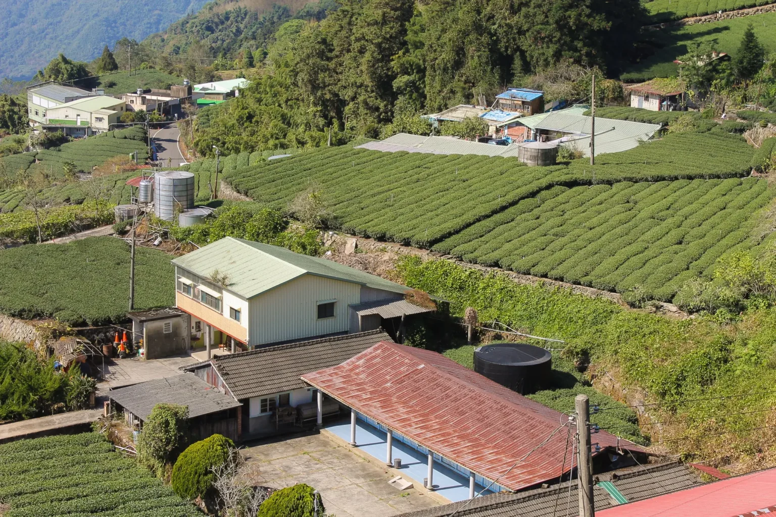 Plantations Alishan