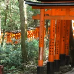 Fushimi Inari-taisha itinéraire 1 mois Japon train