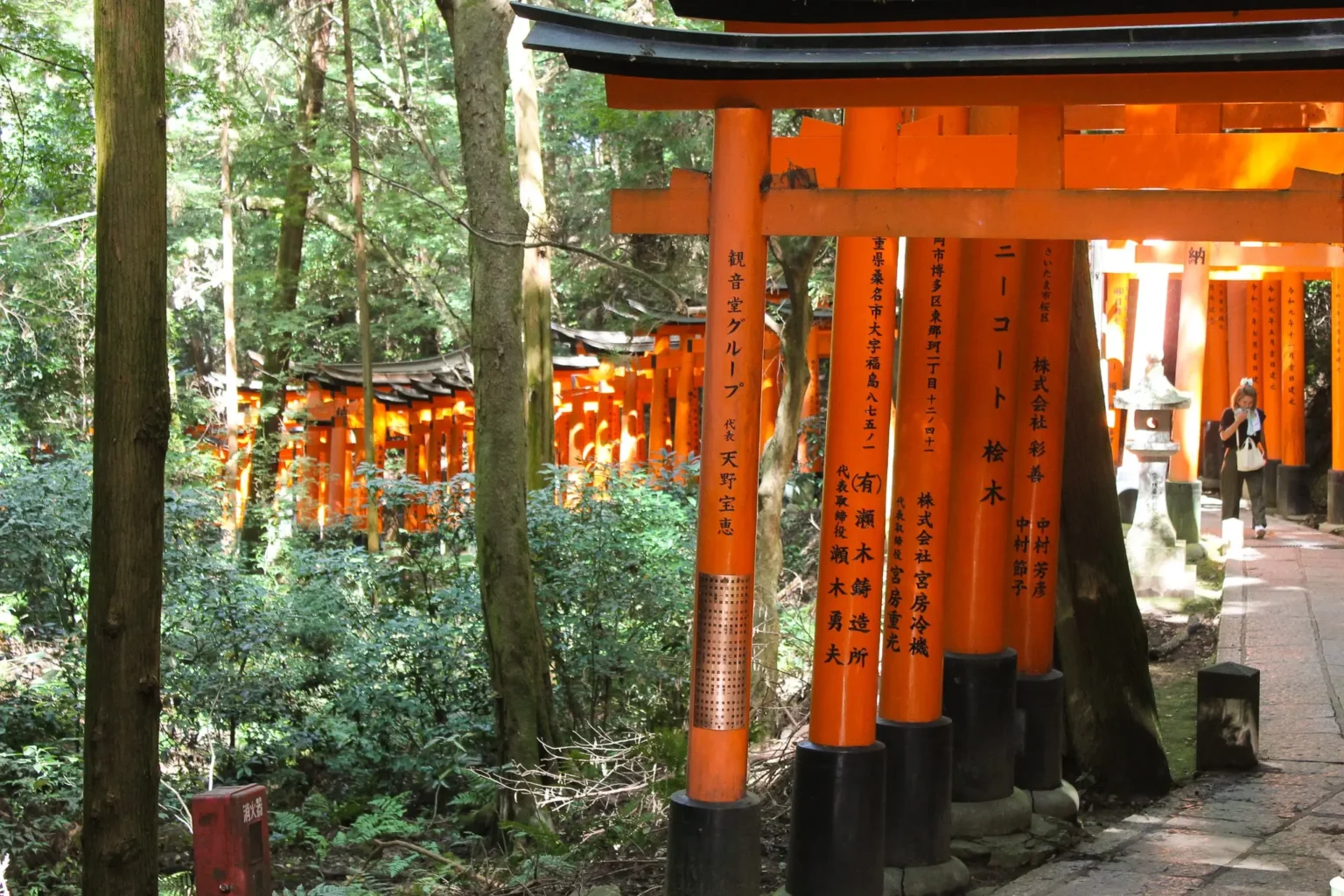Fushimi Inari-taisha itinéraire 1 mois Japon train